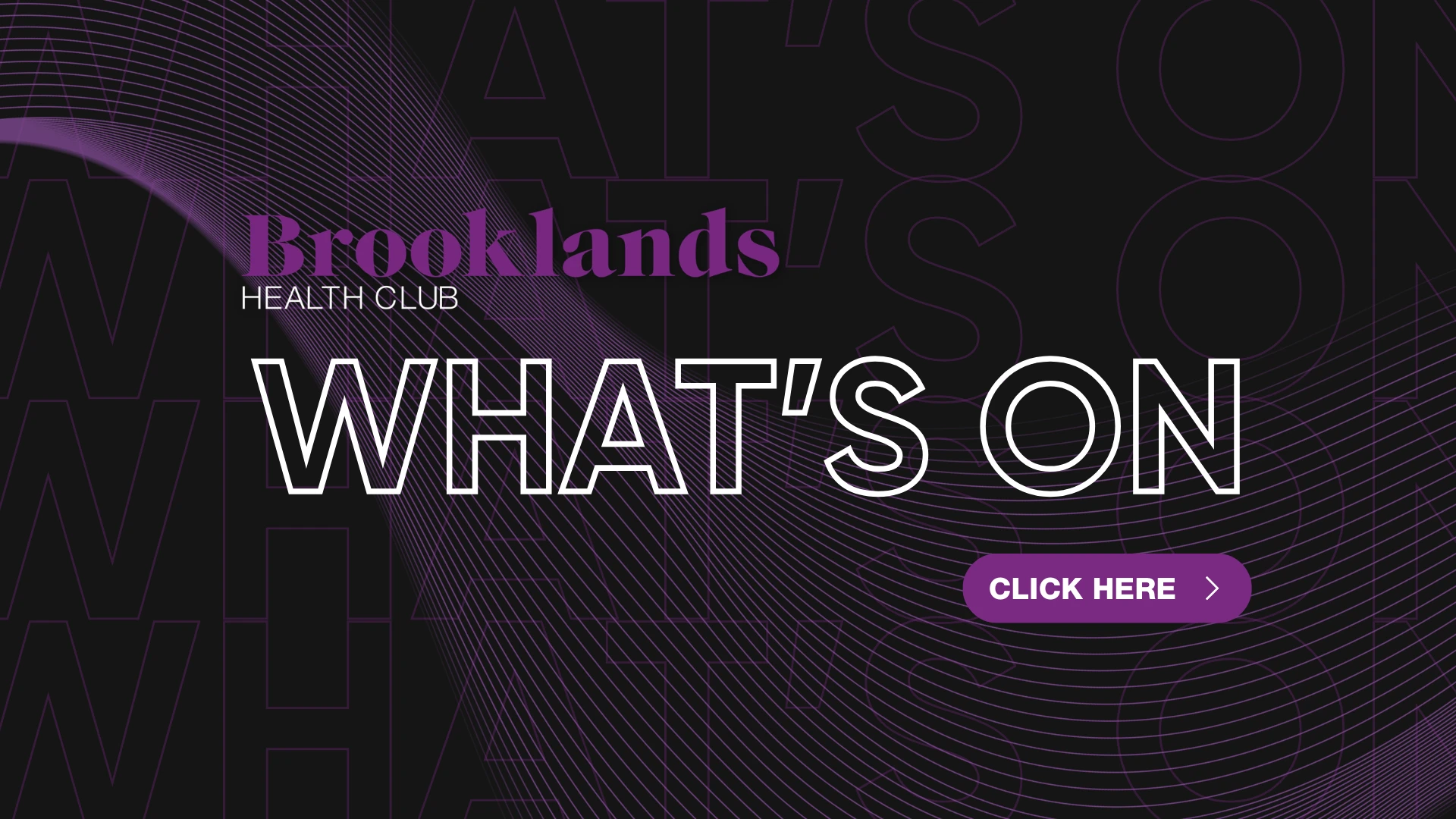 BL-What’s On-Carouselx2